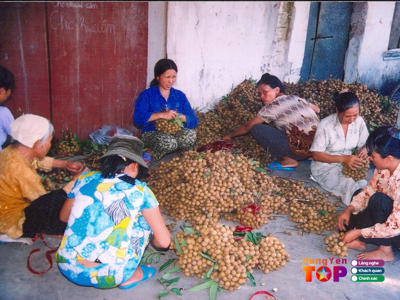 Lang-nghe-long-nhan-hong-nam-hungyentoplist