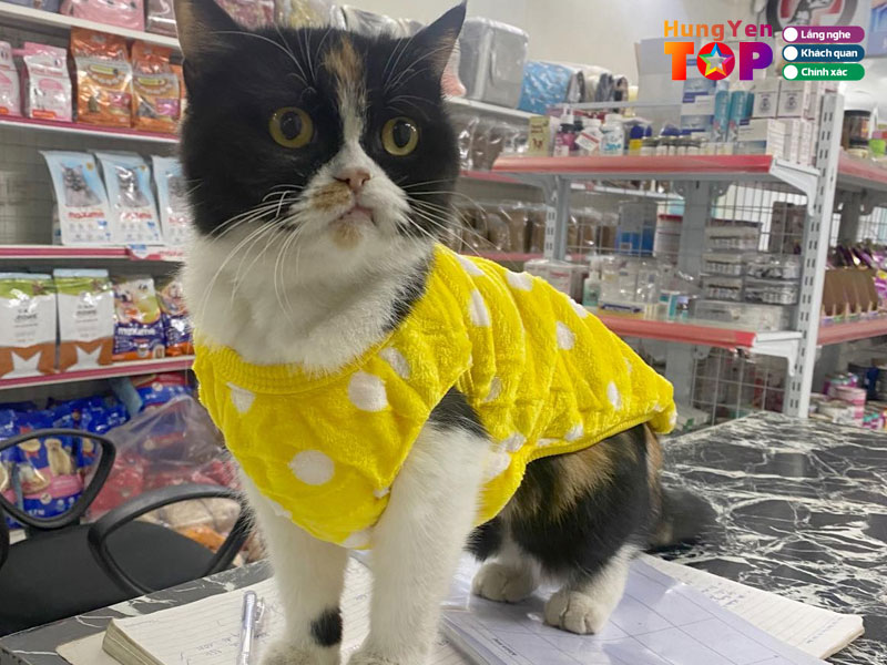 Phong-kham-thu-y-petone-hungyentoplist