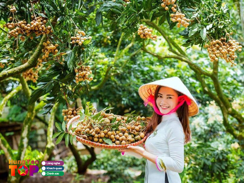 Le-hoi-nhan-long-hungyentoplist