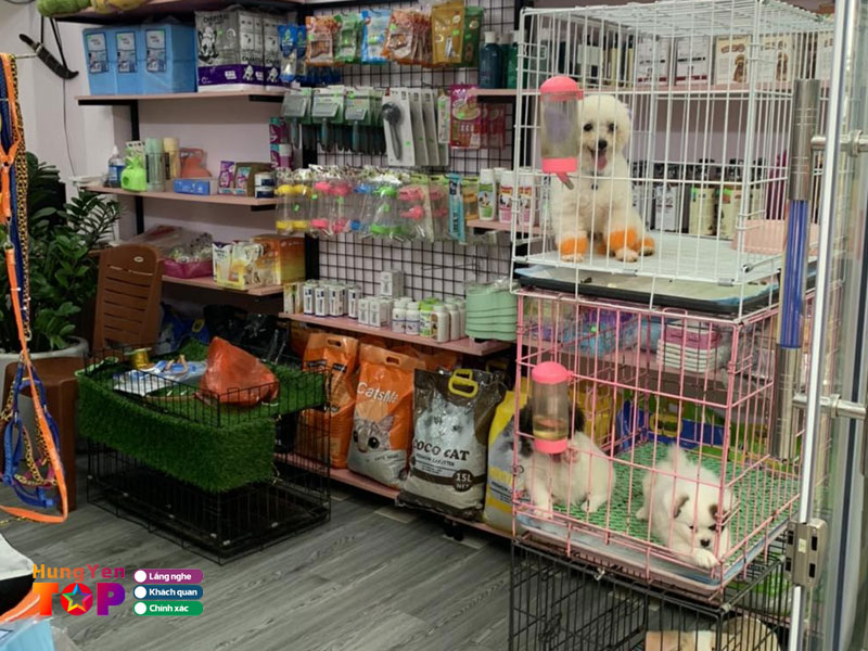 Tom-tom-pet-shop-hungyentoplist